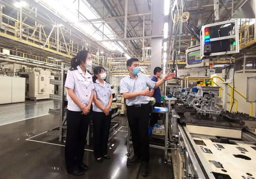 減稅費優服務，稅務部門助力企業揚帆海外高質量發展